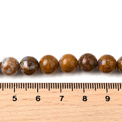 Natural African Opal Beads Strands&nbsp;G-S390-06-8mm