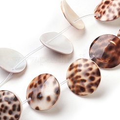 Tiger Cowrie Shell Beads Strands&nbsp;BSHE-L037-11
