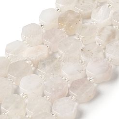 Natural Rainbow Moonstone Beads Strands&nbsp;G-P534-A06-01