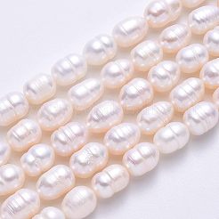 2 Strands Natural Cultured Freshwater Pearl Beads Strands&nbsp;PEAR-NB0001-10