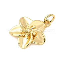 Brass Pendants&nbsp;KK-A266-14G