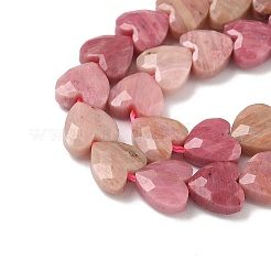 Natural Rhodonite Beads Strands&nbsp;G-D316-B06