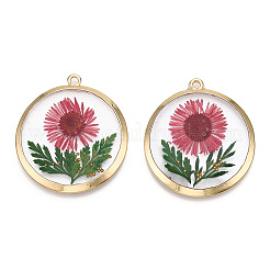 Alloy Epoxy Resin Pendants&nbsp;X1-PALLOY-TAC0044-82