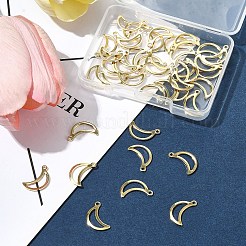 40Pcs 304 Stainless Steel Charms&nbsp;STAS-FS0001-51