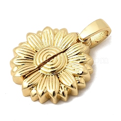 Openable Brass Pendants&nbsp;KK-A296-45B-G