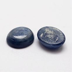 Oval Natural Kyanite/Cyanite/Disthene Cabochons&nbsp;G-O147-01D