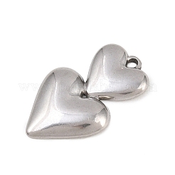 304 Stainless Steel Pendants&nbsp;STAS-D264-06F-P