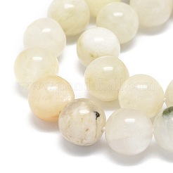 Natural Rainbow Moonstone Beads Strands&nbsp;G-O201A-17B