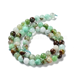 Natural Chrysoprase Beads Strands&nbsp;G-G057-A01-02