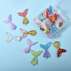 Resin Pendants&nbsp;CRES-SC0001-04