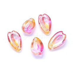 Transparent Glass Charms&nbsp;GLAA-H016-12L-3