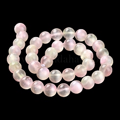 Natural Selenite Beads Strands&nbsp;G-P493-03B