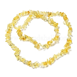 Handmade Lampwork Beads Strands&nbsp;G-M205-82