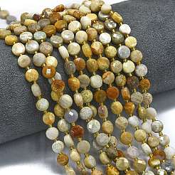 Natural Fossil Coral Beads Strands&nbsp;G-K389-B57-01