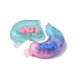 Gradient Color Translucent Resin Pendants&nbsp;RESI-G048-01C