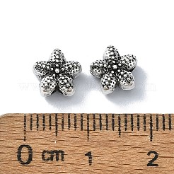 Tibetan Style Alloy Beads&nbsp;TIBEB-F065-01AS-03
