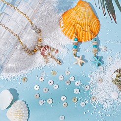 200Pcs Freshwater Shell Beads&nbsp;BSHE-SC0001-12