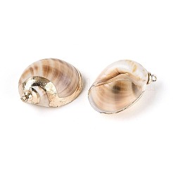 Electroplate Natural Spiral Shell Pendants&nbsp;SSHEL-N042-07