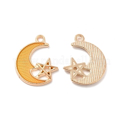 Alloy Enamel Pendants&nbsp;ENAM-S121-061-G