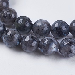 Natural Larvikite Beads Strands&nbsp;G-G542-8mm-27
