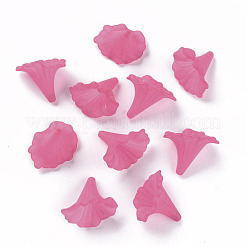 Transparent Acrylic Beads&nbsp;BSF796-C16