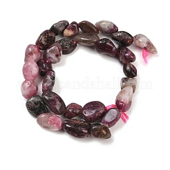 Natural Plum Blossom Tourmaline Beads Strands&nbsp;G-K395-B11-01