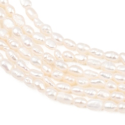 Natural Cultured Freshwater Pearl Beads Strands&nbsp;PEAR-D003-01D-03