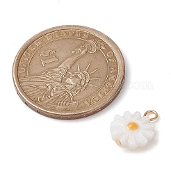 Natural Freshwater Shell Flower Charms with Golden Plated 304 Stainless Steel Loops&nbsp;PALLOY-JF02444