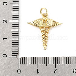 Brass Pendants&nbsp;KK-P300-21G
