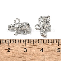 304 Stainless Steel Charms&nbsp;LS-STAS-I367-10P