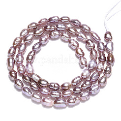 Natural Cultured Freshwater Pearl Beads Strands&nbsp;PEAR-N012-03L