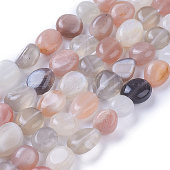 Natural Multi-Moonstone Beads Strands&nbsp;G-P433-15