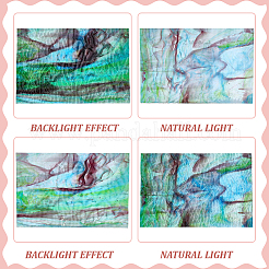 2Pcs Glass Sheets&nbsp;GLAA-WH0038-81B