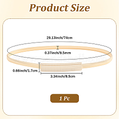 Iron & Resin Rhinestones Waist Chain Belts for Women Ladies Dress&nbsp;AJEW-WH20072-04G