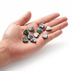 Abalone Shell/Paua Shell Beads&nbsp;LS-SHEL-T005-01