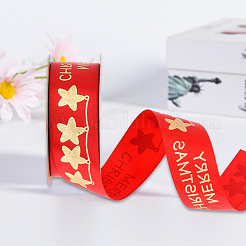 Polyester Ribbon&nbsp;SRIB-P018-B02