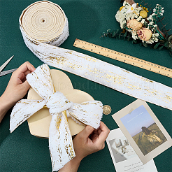 Gold Stamping Single Face Polyester Ribbon&nbsp;OCOR-WH0109-052A