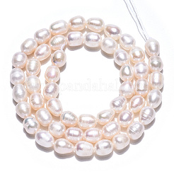 Natural Cultured Freshwater Pearl Beads Strands&nbsp;LS-PEAR-N012-05K