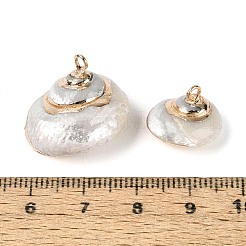 Electroplate Natural Spiral Shell Pendants&nbsp;SSHEL-N042-09