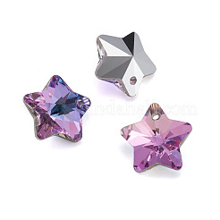 K9 Glass Rhinestone Charms&nbsp;X-GLAA-TA001-007