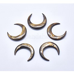 Shell Cabochons&nbsp;SSHEL-P015-79-35mm-M