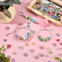 DIY European Beads Kits&nbsp;DIY-SC0034-17