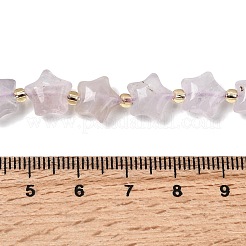 Natural Amethyst Beads Strands&nbsp;G-Z080-A29-10mm
