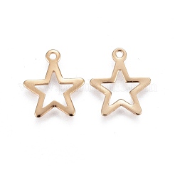 304 Stainless Steel Pendants Ion Plating(IP)&nbsp;STAS-F192-027G