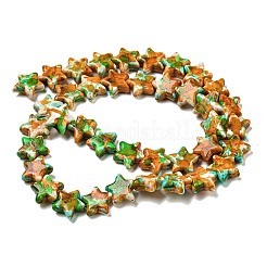 Spray Painted Synthetic Turquoise Beads Strands&nbsp;G-E617-A04-02