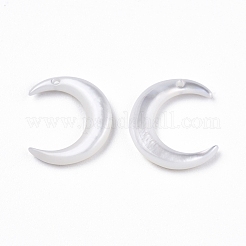 Natural Freshwater Shell Charms&nbsp;SSHEL-N032-55A
