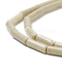 Natural Fossil Beads Strands&nbsp;G-H269-02