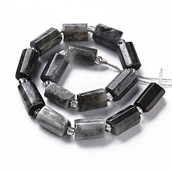 Natural Hawk's Eye Beads Strands&nbsp;X-G-S345-8x11-009