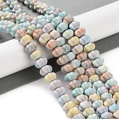 Natural Rainbow Alashan Agate Beads Strands&nbsp;G-NH0022-M01-01