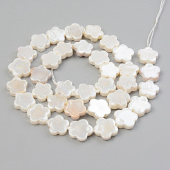 Electroplate Natural Freshwater Shell Beads Strands&nbsp;X-SHEL-T017-08